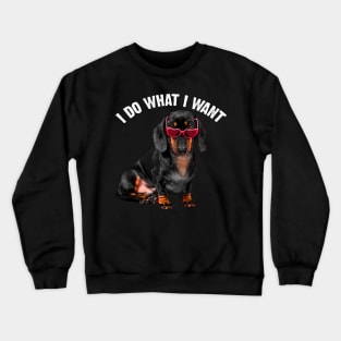 Sausage Symphony Dachshund Charm, I Do What I Want Dog Lovers Crewneck Sweatshirt